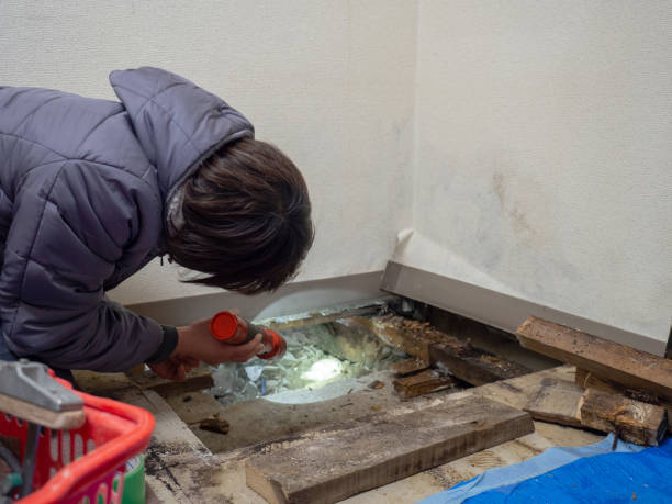 Best Comprehensive Air Testing for Mold Contaminants  in , MT