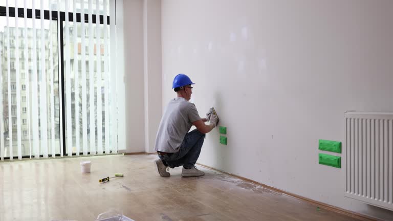 Best Mold Damage Restoration  in , MT