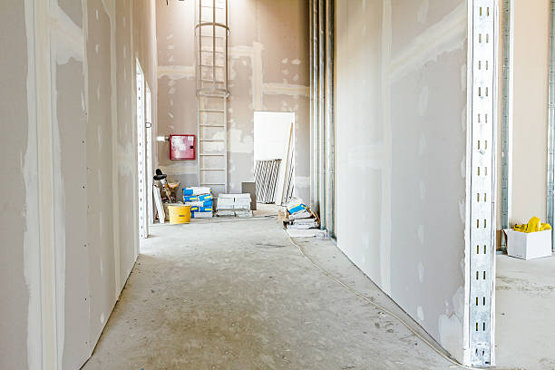 Best Biohazard Mold Removal  in , MT